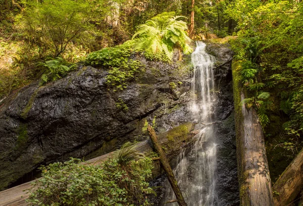 Şelale Mendocino California Geç Öğleden Sonra Güneş Işığı Altında Çok — Stok fotoğraf