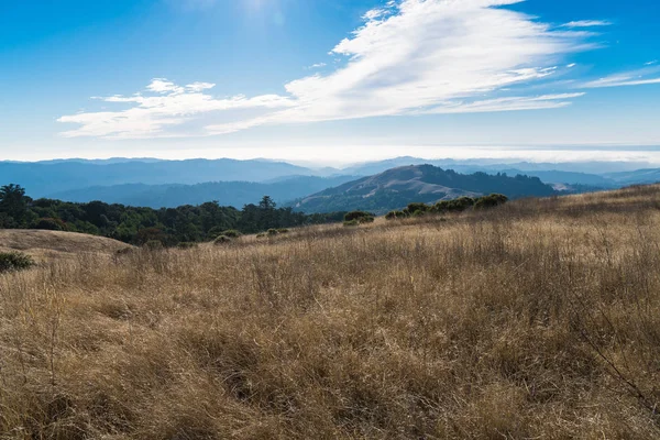 Fog and clouds rolling in over the hills of Russian Ridge in the Bay Area