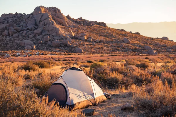 Zonsopgang Een Tent Gooide Hoge Woestijn Van Bisschop Californië Omringd — Stockfoto