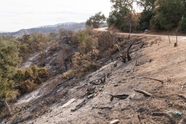Views of Thomas Fire damage in the hills around Lake Casitas in Ojai, California clipart