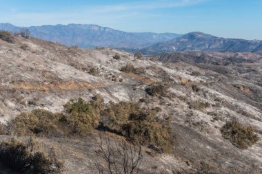 Ojai, Kaliforniya'da Lake Casitas çevresindeki tepeler Thomas yangın hasar görünümlerini
