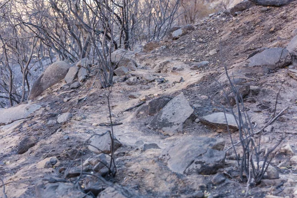 Die Durch Das Thomas Feuer Beschädigte Landschaft Pratt Trail Ojai — Stockfoto