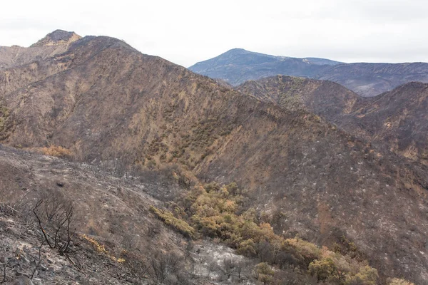 Die Durch Das Thomas Feuer Beschädigte Landschaft Entlang Des Highway — Stockfoto