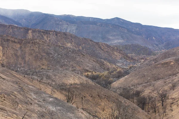 Paisagem Danificada Pelo Incêndio Thomas Longo Estrada Ojai Califórnia — Fotografia de Stock