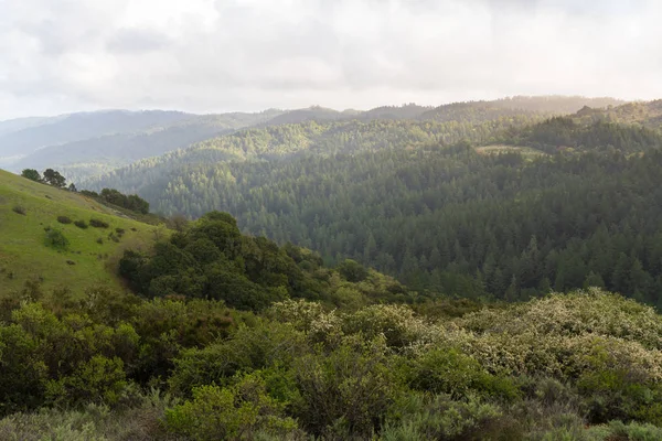 Afternoon Sunlight Hits Hazy Hills Monte Bello Palo Alto Morning — Stock Photo, Image