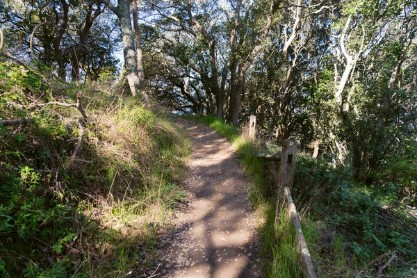 Szlak Turystyczny Zalesionych Angel Island San Francisco Bay Wiosnę — Zdjęcie stockowe