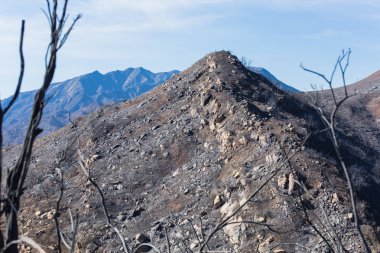 Ojai, Kaliforniya'da Pratt izi boyunca Thomas yangında zarar manzara