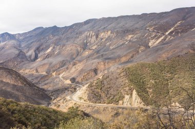 Ojai, Kaliforniya Otoban 33 boyunca Thomas yangında zarar manzara