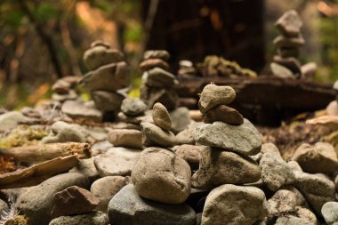 Pürüzsüz nehir taşları California sekoya ormandaki yığılmış