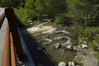SUNOL bölgesel korumak, vahşi hayat
