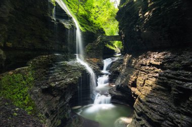 Watkins Glen gorge, New York'un yaz aylarında güzel yalnız şelale