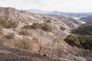 Ojai, Kaliforniya'da Lake Casitas çevresindeki tepeler Thomas yangın hasar görünümlerini
