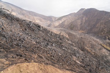 Ojai, Kaliforniya Otoban 33 boyunca Thomas yangında zarar manzara