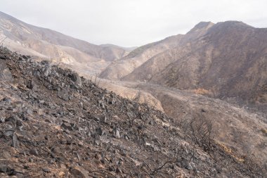 Ojai, Kaliforniya Otoban 33 boyunca Thomas yangında zarar manzara