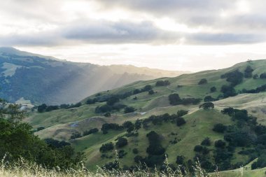 Bir ağaçta renkli günbatımı valley California Hills dolu