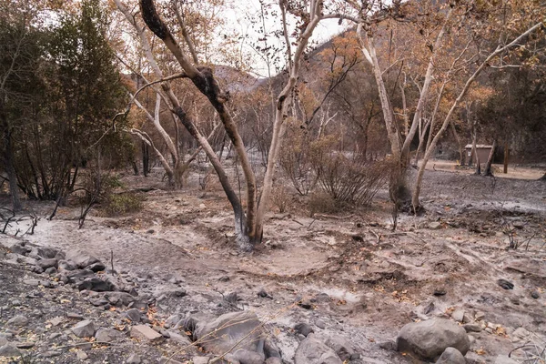 Campground and road damaged by the Thomas Fire along Highway 33 in Ojai, California