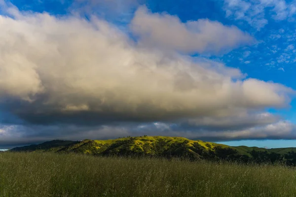 Bir Ağaçta Renkli Günbatımı Valley California Hills Dolu — Stok fotoğraf