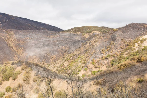 Paisagem Danificada Pelo Incêndio Thomas Longo Estrada Ojai Califórnia — Fotografia de Stock