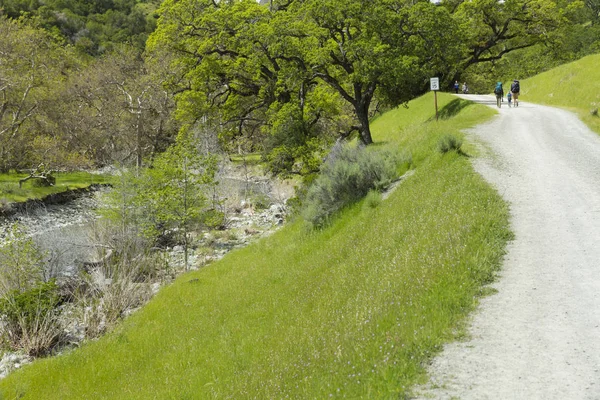 Sunol Reserva Regional Desierto — Foto de Stock