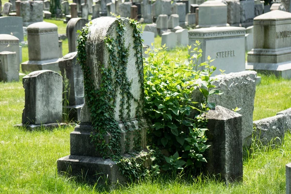 Satır bakımlı mezar taşlarının Rochester New York