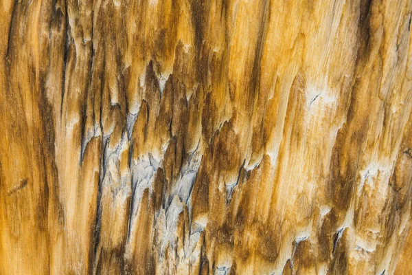 John Muir Trail Wood — Stock Photo, Image