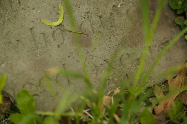Mezarlığı Amerika Mezarlıkta — Stok fotoğraf