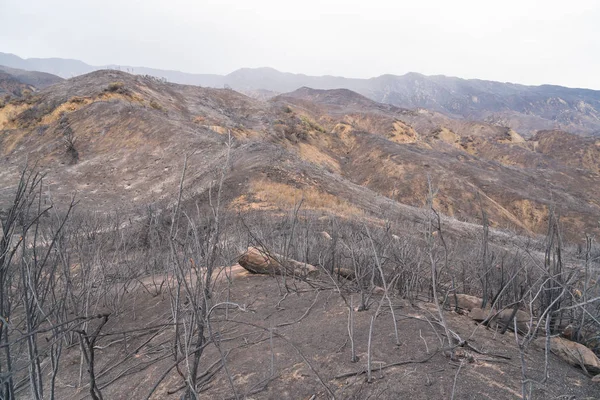 Пейзаж Поврежденный Пожаром Томаса Вдоль Шоссе Охай Калифорния — стоковое фото