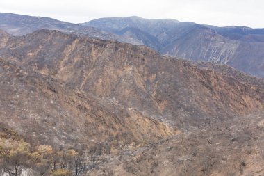 Ojai, Kaliforniya Otoban 33 boyunca Thomas yangında zarar manzara