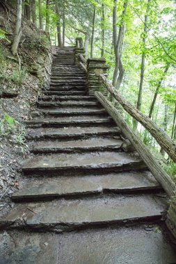 Bir ormandaki bir yağmur fırtınası sonra taş merdiven