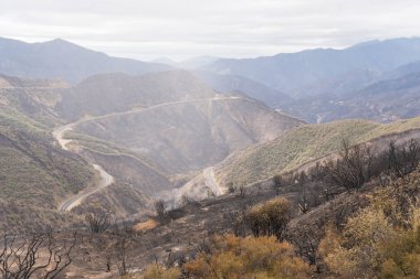 Ojai, Kaliforniya Otoban 33 boyunca Thomas yangında zarar manzara