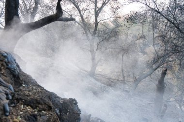 Sonrasında otobanda 150 Thomas ateşten. Yanık hillside ve doğal yağ sızmasını hala sigara.