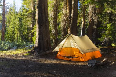 Orange tent pitched in the mountains of California clipart