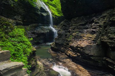 Watkins Glen gorge, New York'un yaz aylarında güzel yalnız şelale