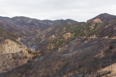 Ojai, Kaliforniya Otoban 33 boyunca Thomas yangında zarar manzara