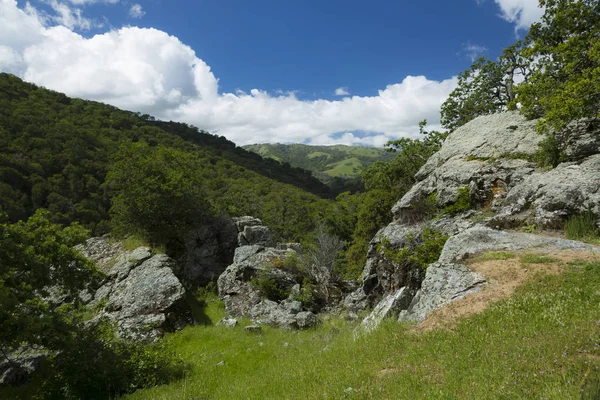 Sunol Riserva Regionale Deserto — Foto Stock