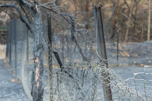 Fence and property damaged by Thomas Fire on Highway 150