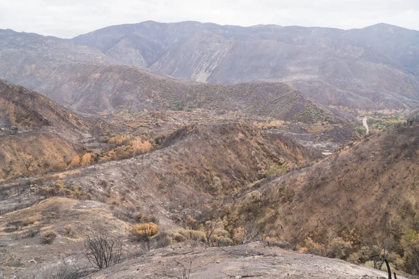 Пейзаж Поврежденный Пожаром Томаса Вдоль Шоссе Охай Калифорния — стоковое фото