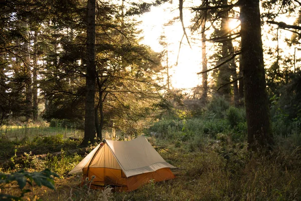 夕日の光で森の中に座っている小さな古いスタイル テント — ストック写真
