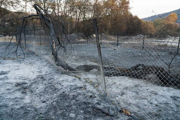 Fence and property damaged by Thomas Fire on Highway 150