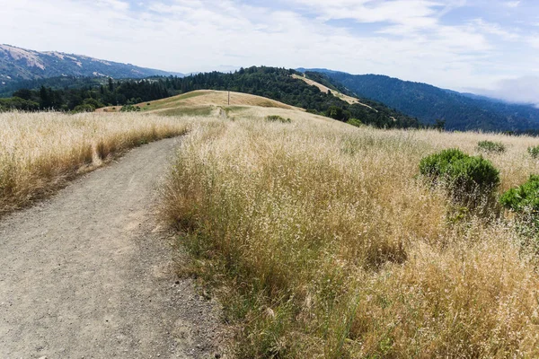 Пустые Грязевые Пешеходные Тропы Холмах Северной Калифорнии Недалеко Сан Франциско — стоковое фото