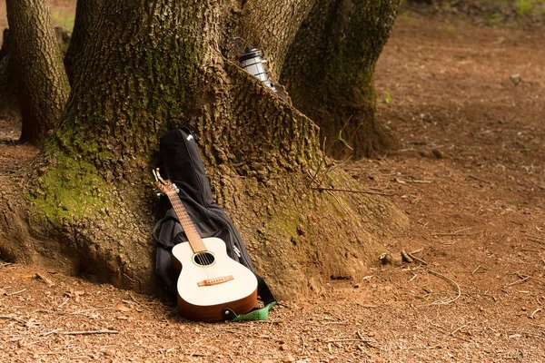 Gitar kamp gezisi sırasında eski fener yakın bir ağaca eğilir