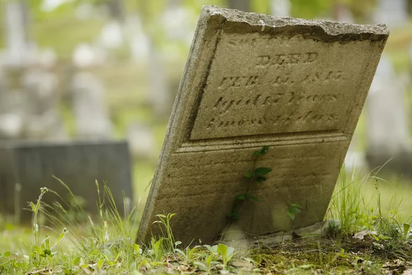 Cemetery Graveyard America — Stock Photo, Image