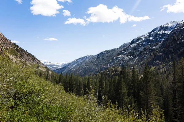 Szlak Turystyczny Pustyni Ansel Adams Górach Sierra Nevada Spadku — Zdjęcie stockowe