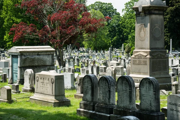 Rader Välskötta Grav Stenar Rochester New York — Stockfoto