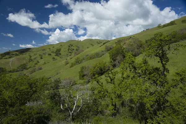 Sunol Областной Заповедник Дикая Природа — стоковое фото