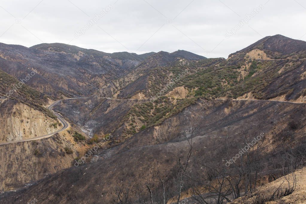 Landscape damaged by the Thomas Fire along Highway 33 in Ojai, California