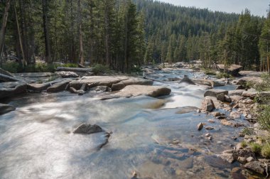 Su akan ve dağ backcountry California'daki Sierra Nevada çim