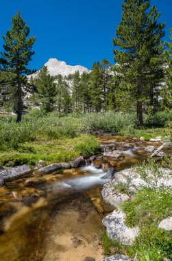 Su akan ve dağ backcountry California'daki Sierra Nevada çim