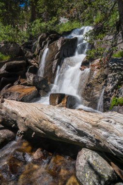 Su akan ve dağ backcountry California'daki Sierra Nevada çim