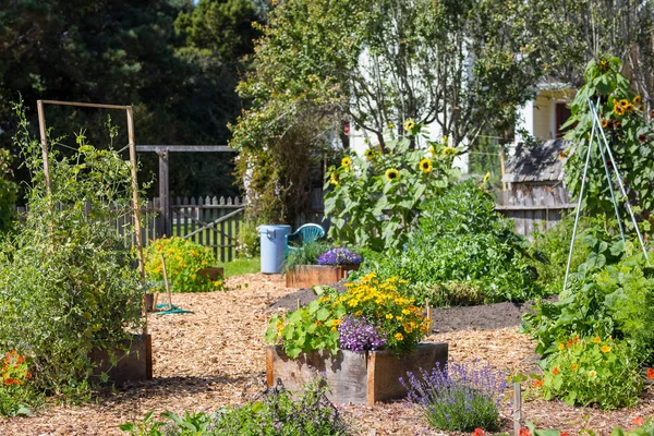 Lovely summer garden in backyard of house in Mendocino, California